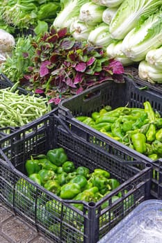 Chinese vegetables at asian food market