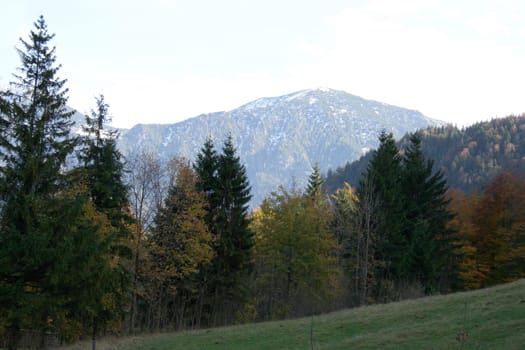 Alpine summits covered with snow, blue sky in the background .