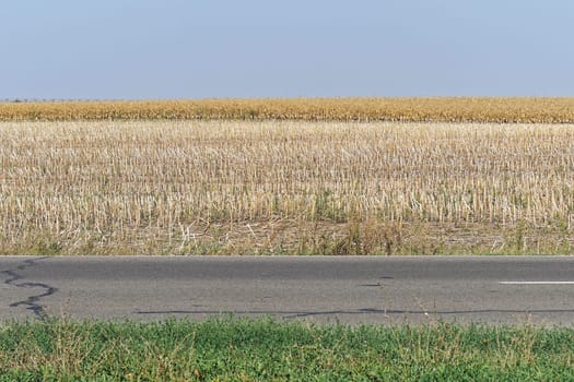 Harvested corn field in layers
