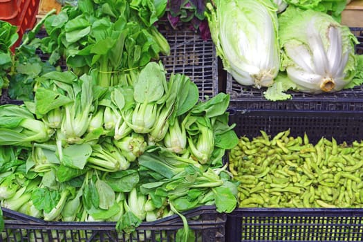 Pak choi chinese vegetables at asian market