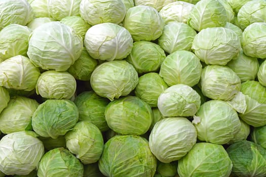 Big bunch of cabbage at farmers market