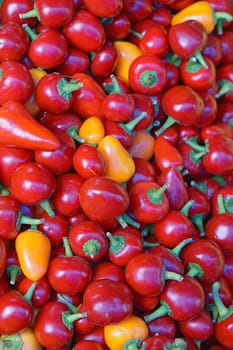 Big bunch of red hot chili peppers