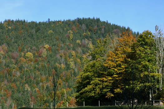 Mountains with a forested mountain landscape.