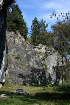 A landscape in the highlands, with rocks, trees and blue sky.