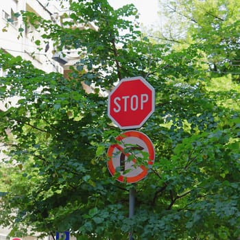 Stop traffic sign overgrown by green plants