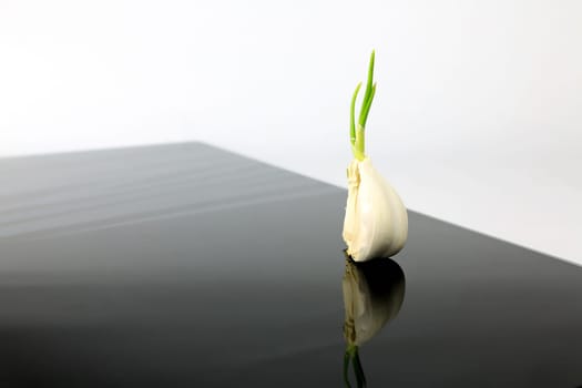 Garlic on a black plate wanders across the picture