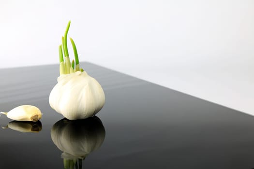 Garlic on a black plate wanders across the picture