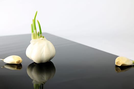 Garlic on a black plate wanders across the picture