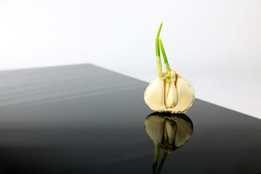 Garlic on a black plate wanders across the picture