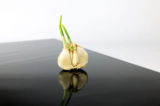 Garlic on a black plate wanders across the picture