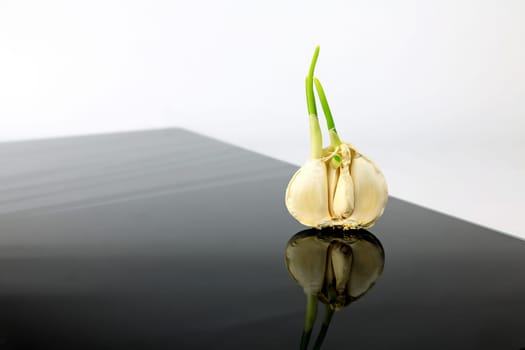 Garlic on a black plate wanders across the picture