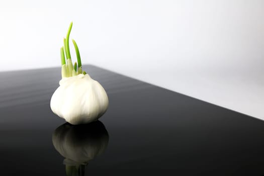 Garlic on a black plate wanders across the picture