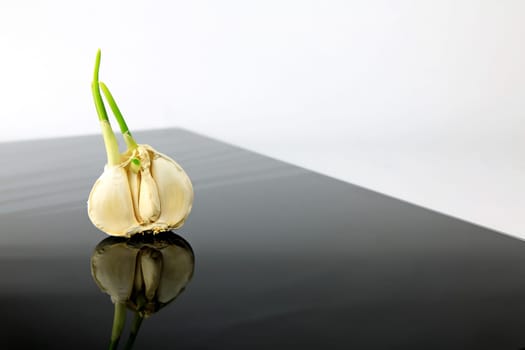 Garlic on a black plate wanders across the picture