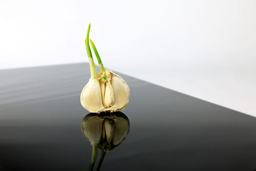 Garlic on a black plate wanders across the picture