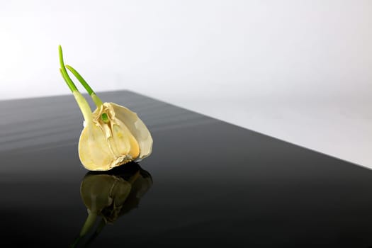Garlic on a black plate wanders across the picture