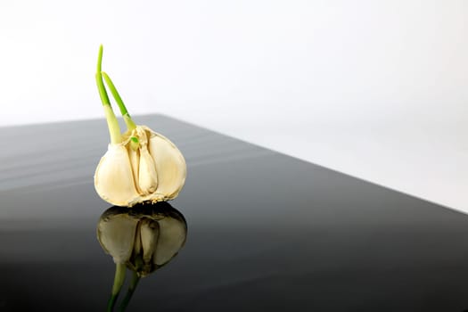 Garlic on a black plate wanders across the picture