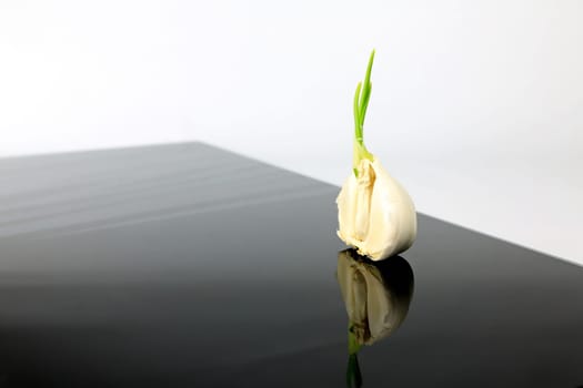 Garlic on a black plate wanders across the picture