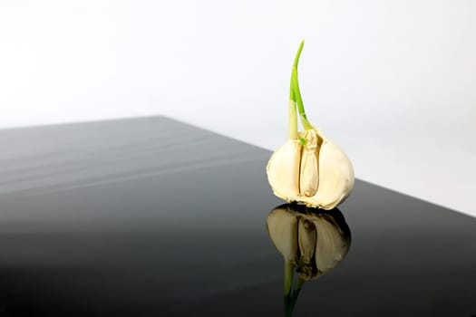 Garlic on a black plate wanders across the picture