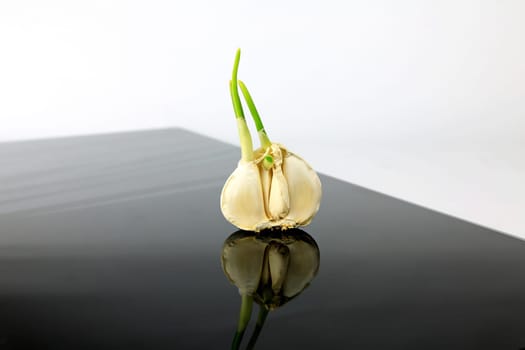 Garlic on a black plate wanders across the picture