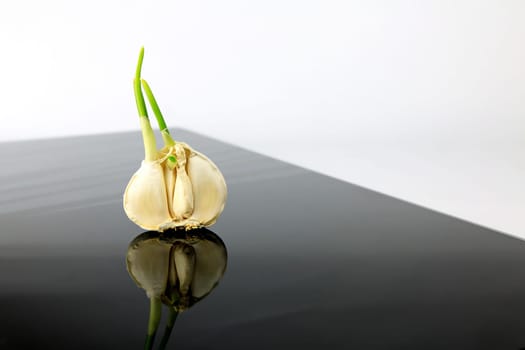 Garlic on a black plate wanders across the picture