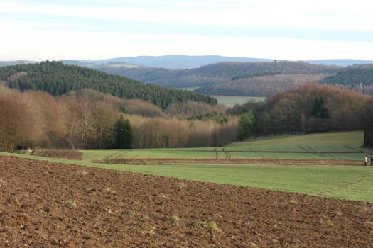 A landscape with wheat fields and forest.