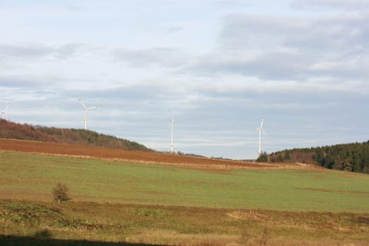 A landscape with wheat fields and forest.