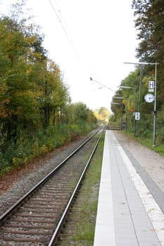 A lonely deserted platform, surrounded by trees