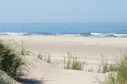 some dunes on the North Sea in the Netherlands.