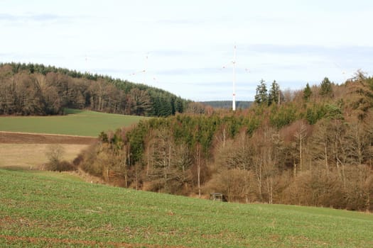 A landscape with wheat fields and forest.