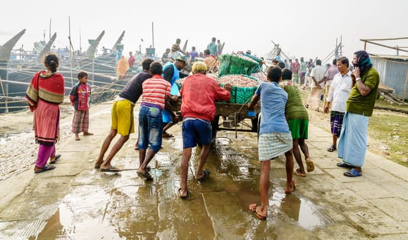 Chittagong, Bangladesh, December 23, 2017: Fishermen are pushing cart loaded with fresh catch of shrimp at a port in Chittagong, Bangladesh