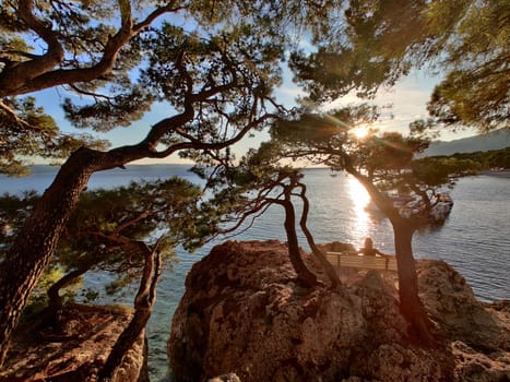 Pensive woman on vacations, sitting and relaxing under large pine tree on bench by dip blue sea enjoying beautiful sunset light in Brela, Makarska region, Dalmatia, Croatia.