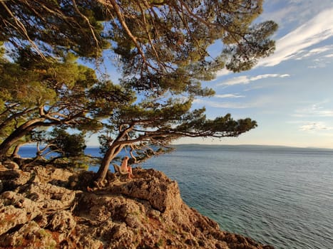 Pensive woman on vacations, sitting and relaxing under large pine tree on bench by dip blue sea enjoying beautiful sunset light in Brela, Makarska region, Dalmatia, Croatia.