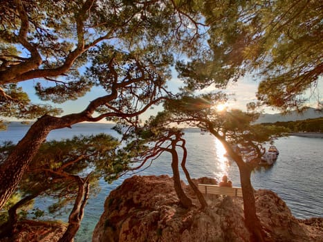 Pensive woman on vacations, sitting and relaxing under large pine tree on bench by dip blue sea enjoying beautiful sunset light in Brela, Makarska region, Dalmatia, Croatia.