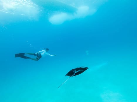 Male free diver and Giant oceanic manta ray, Manta Birostris, hovering underwater in blue ocean. Watching undersea world during adventure snorkeling tour on Maldives islands.