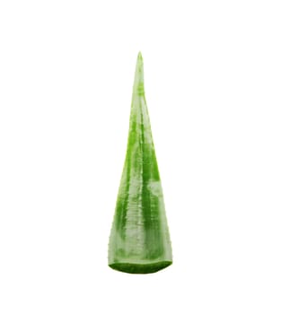 Aloe Vera Plant Isolated On White Background