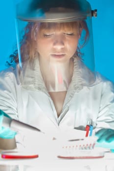 Focused life science professional pipetting human serum media containing HIV infected cells from petri dish to microtiter plate. High protection degree work.