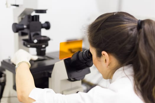 Life science female researcher microscoping in scientific genetic laboratory. Healthcare and biotechnology.