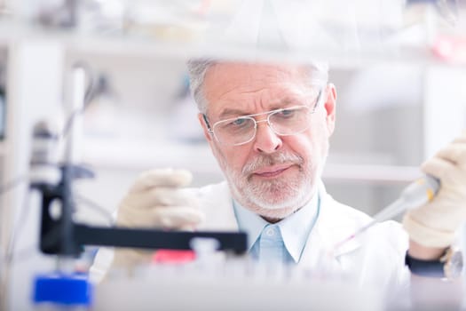 Life scientist researching in laboratory. Life sciences study living organisms on the level of microorganisms, viruses, human, animal and plant cells, genes, DNA...