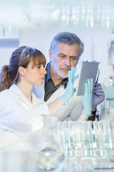 Attractive young female scientist and her senior male supervisor looking at the cell colony grown in the petri dish in the life science research laboratory