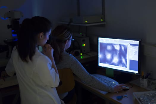 Life science female researchers microscoping with hi-tech fluorescent microscope in scientific genetic laboratory. Healthcare and biotechnology.