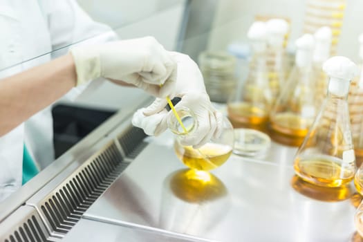 Female scientist working with bacteria in laminar flow at corona virus vaccine development laboratory research facility. Corona virus pandemic concept. Development of virus treatment drug.