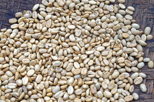 Bunch of raw green coffee beans