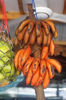 Bunch of red bananas in Africa