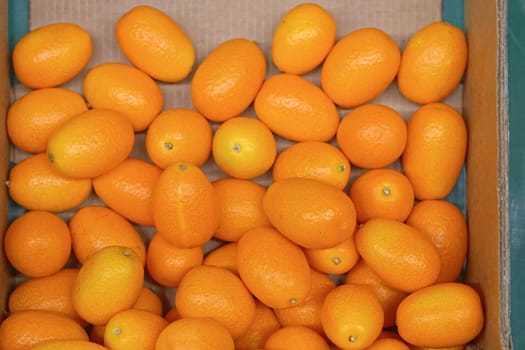 Small orange kumquat fruit in box