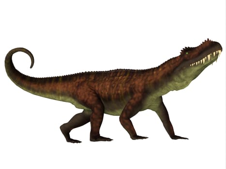Prestosuchus was a carnivorous archosaur dinosaur that lived in the Triassic Period of Brazil.