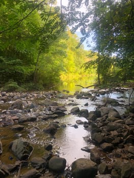 Beautiful image of a forest stream as it opens into bright sunshine. Green color and blue sky background and stones in foreground, Shot in natural light with copy space.