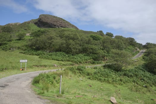 Calum's road sweeps through this image. Taken on a sunny day on the isle of raasay, the lush foliage surrounding the historic road looks good.