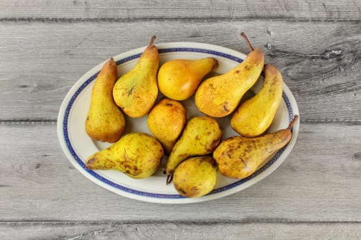 Table top view, green and yellow pears on oval plate with blue rim on gray wood desk