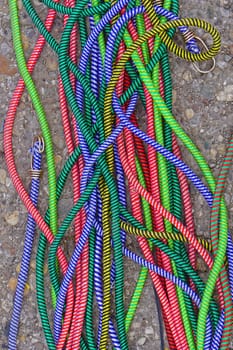 Many various vivid colour bungee ropes cords
