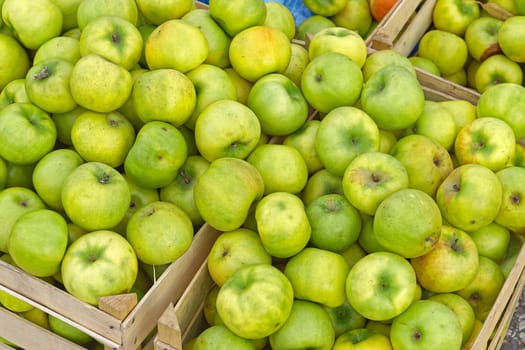 Organic green apples fruits in wooden crates